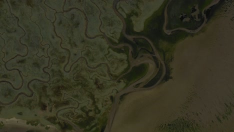 saeftinghe sunken land netherlands aerial top down