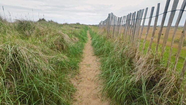 Sandy country path surrounded by grass, sand dunes and a old wooden fence