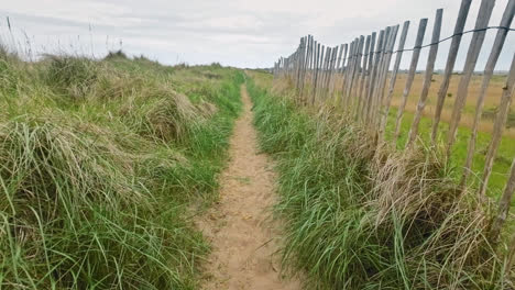 sendero de arena rodeado de hierba, dunas de arena y una vieja valla de madera
