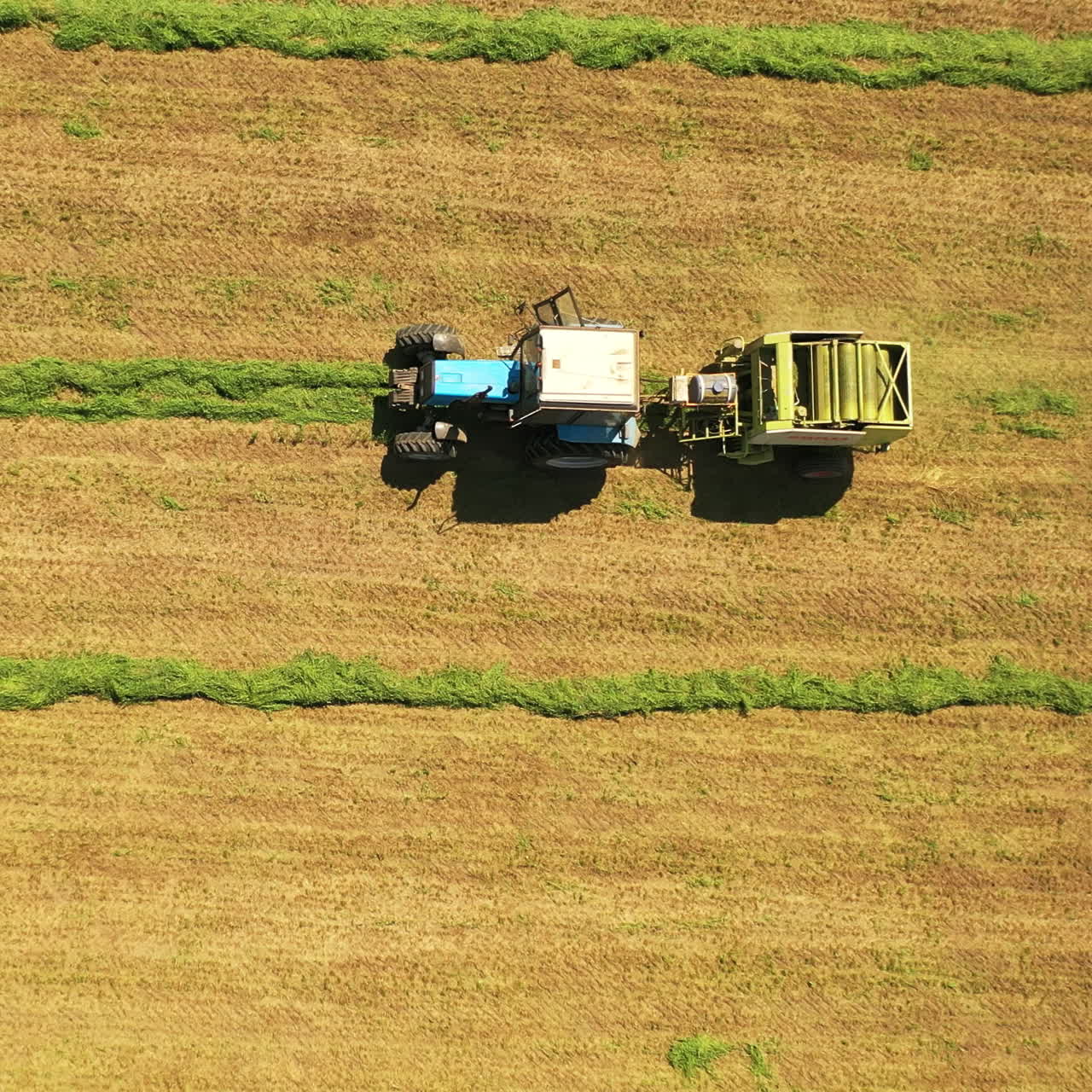 Aerial view of tractor at work in the field. Special machinery for collecting dried grass on grassland outdoors. Camera moves top down.