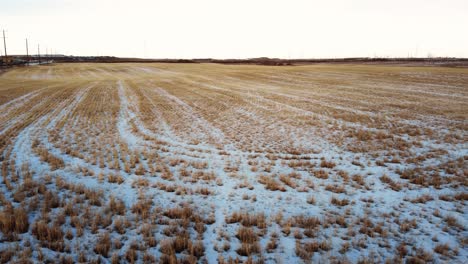 tomada de un avión no tripulado de un campo de centeno biselado en el centro de alberta en invierno