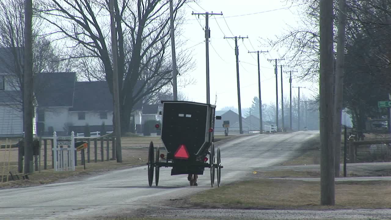겨울에 조용한 시골길을 따라 아미쉬 말과 마차 여행