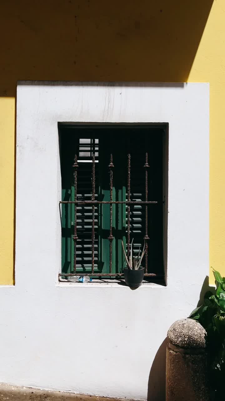 ventana con persianas verdes y plantas en un edificio amarillo