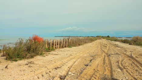 camino de arena costera en la isla de ile de ré, frente a la costa oeste de francia