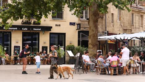 people and dog interacting outside a cafe