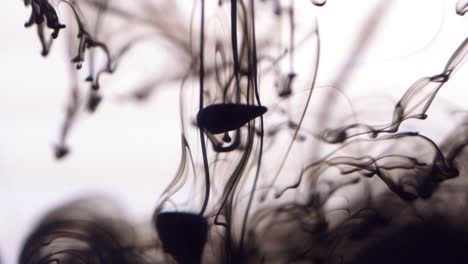 black ink flowing in water