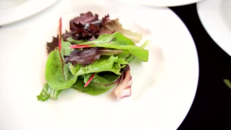 Salad-in-a-first-camera-plane-and-then-hand-putting-leaves