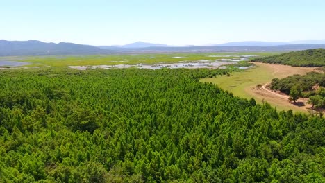 Toma-Aérea-Del-Humedal-El-Kala-Argelia