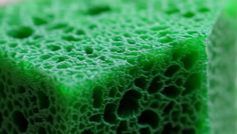 close-up view of a green sponge
