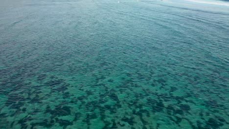 vista aérea del arrecife de coral perfectamente saludable en el agua turquesa cristalina
