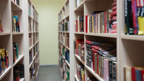 Books on wooden shelf. Bookshelves in the library with books