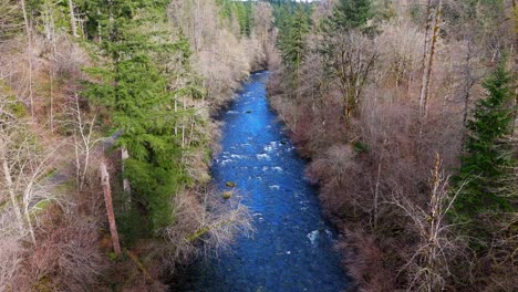 stationary shot of flowing cedar river and forest in washington state