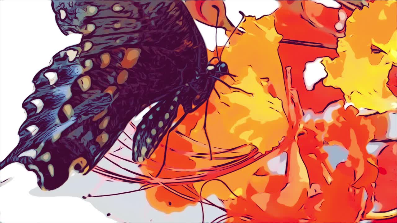 primer plano de animación de mariposa en flor