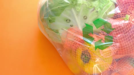 recycled plastic bag with vegetables