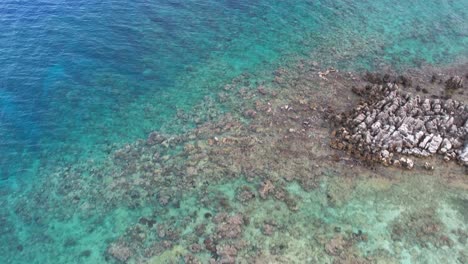 Vista-Aérea-Cinematográfica-Del-Arrecife-Caribeño,-Agua-Turquesa,-Playa-Rocosa-Durante-El-Amanecer,-Isla-De-Roatán,-Extremo-Oeste,-Honduras,-América-Central