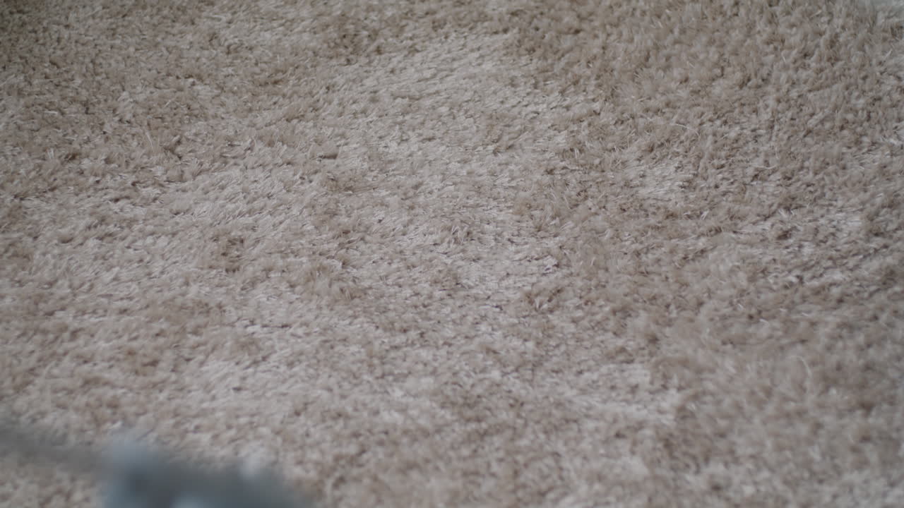Passare l'aspirapolvere su un tappeto beige
