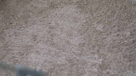 vacuuming a beige carpet