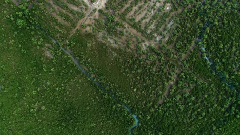 Luftaufnahme-Der-Mangrovensümpfe,-Stadt-Daressalam