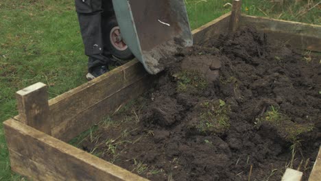 Young-man-spills-wheelbarrow-full-of-soil-into-raised-garden-bed