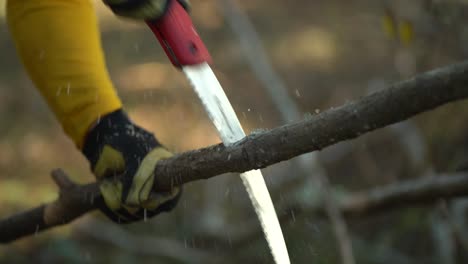 Mann-Sägt-Mit-Einer-Handsäge-Einen-Ast-Vom-Baum-Ab---Zeitlupe