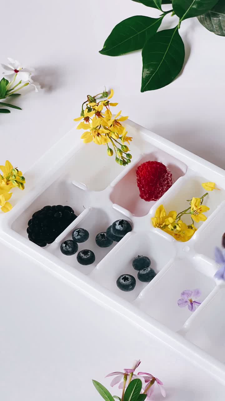 Frugt- og blomsteristerninger