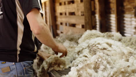 sheep fleece skirting by male shed hand