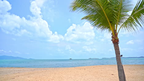 Empty-tropical-beach,-sand,-coconut-tree-and-horizon-view-on-a-sunny-day,-exotic-vacation-destination,-slow-motion