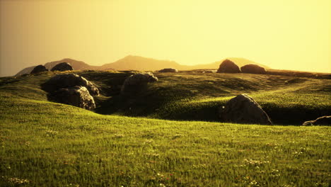 isolated stone on meadow in mountains
