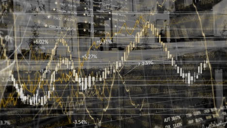 animación del almacén, procesamiento de datos financieros y estadísticas