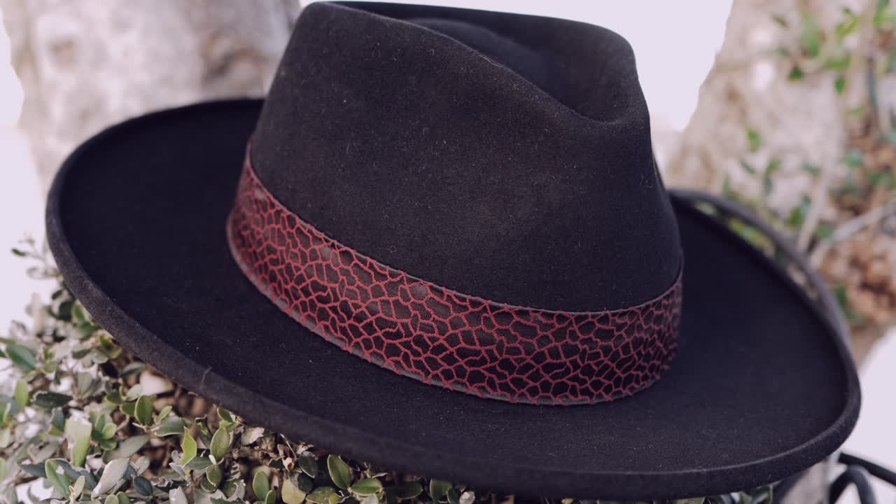 Close up of a black felt hat with a patterned red band resting on green foliage