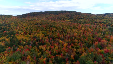 Slow-moving-aerial-drone-shot-over-a-forest-of-colorful-aspen-trees