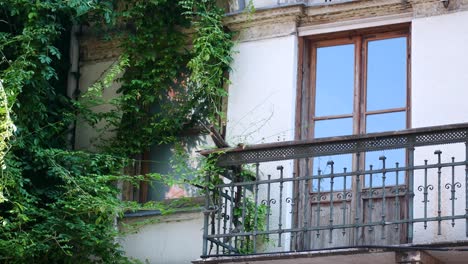 edificio antiguo con hiedra y balcón