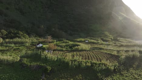 Luftaufnahme-Von-Kleinen-Häusern-In-Der-Nähe-Des-Strandes-Fajã-De-Lopo-Vaz-Auf-Der-Insel-Flores