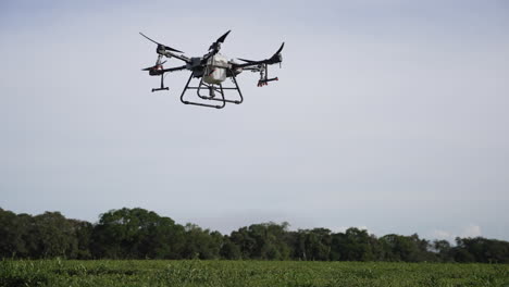 disparo estático de un dji agras t30 flotando sobre un campo con cultivos listos para rociar