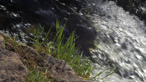 venta river rapid close up, the widest waterfall in europe in sunny autumn day, located in kuldiga city, latvia