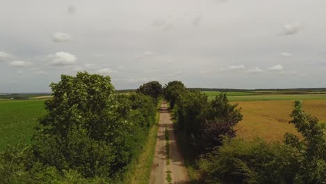 Drone-Atravesando-árboles-Por-Un-Camino-Rural