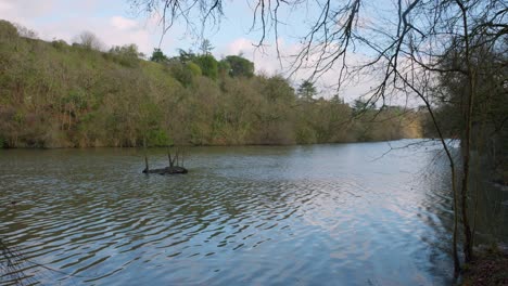 Rippling-Water-Of-Étang-Saint-Nicolas-Lake-In-Angers,-Maine-et-Loire,-France