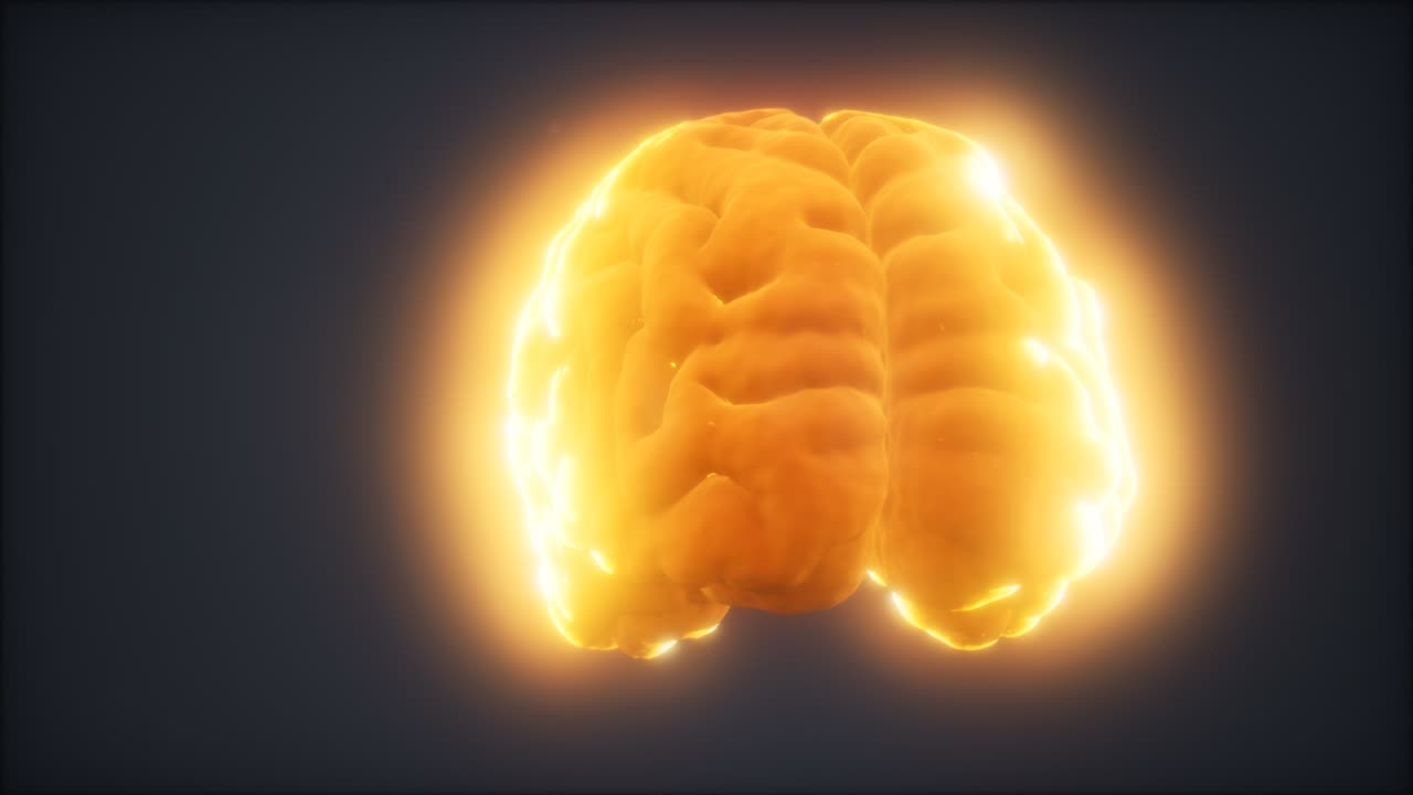Loop roterende animation af menneskehjerne