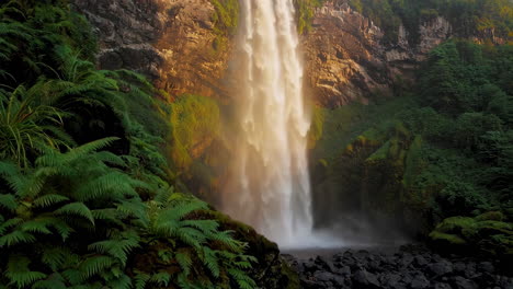 majestic waterfall in lush forest