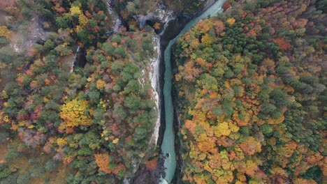 epic aerial flight over mist forest colorful autumn trees and beautiful blue canyon river in autumn forest, top view