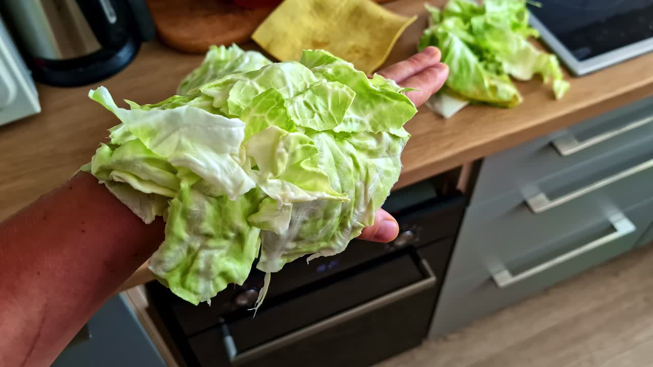 Lettuce pieces on hand in kitchen showing food prep and freshness