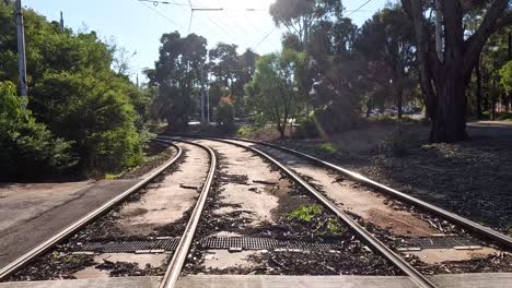 las vías del tren a través de un parque iluminado por el sol