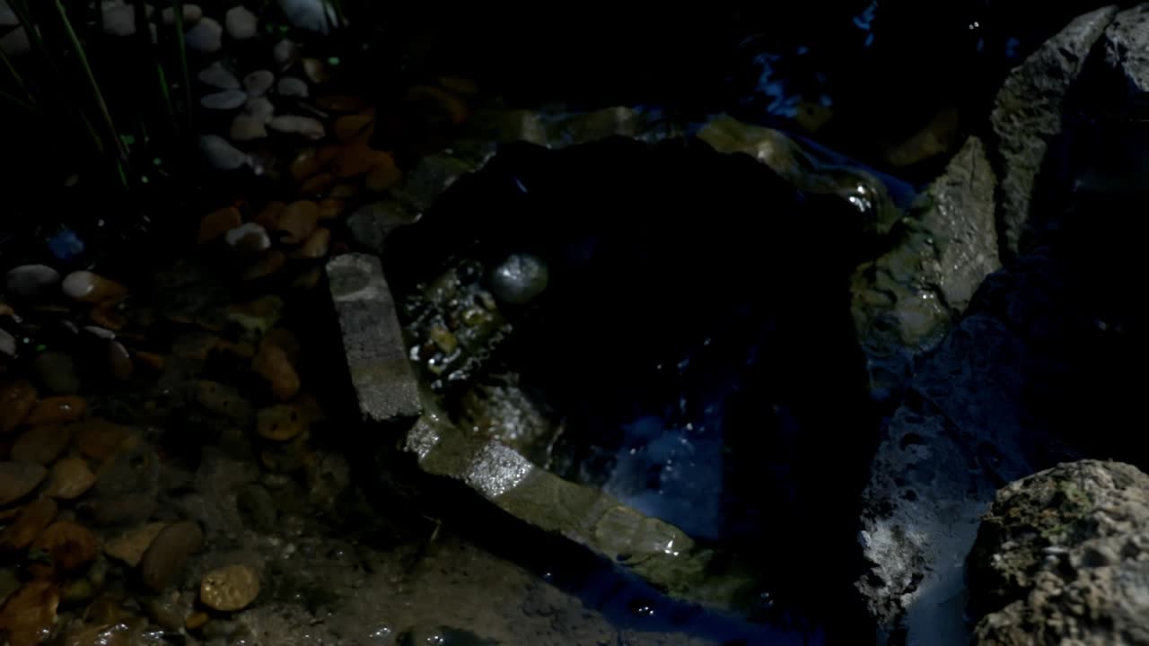 mirando el agua en el templo