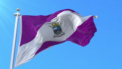 cape horn flag, chile. loop