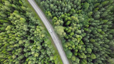 siguiendo un coche desde arriba en el bosque sueco