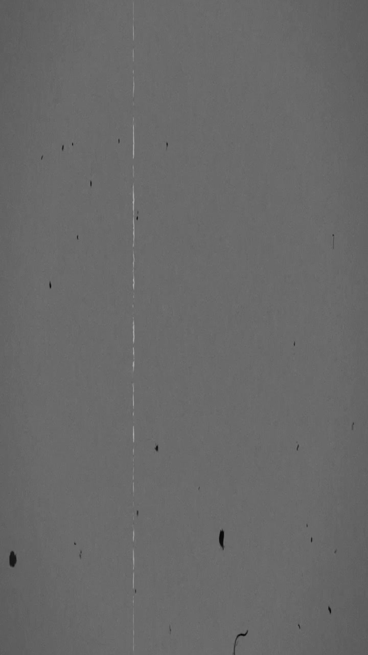 Vintage Film Grain Overlay with Scratches and Dust