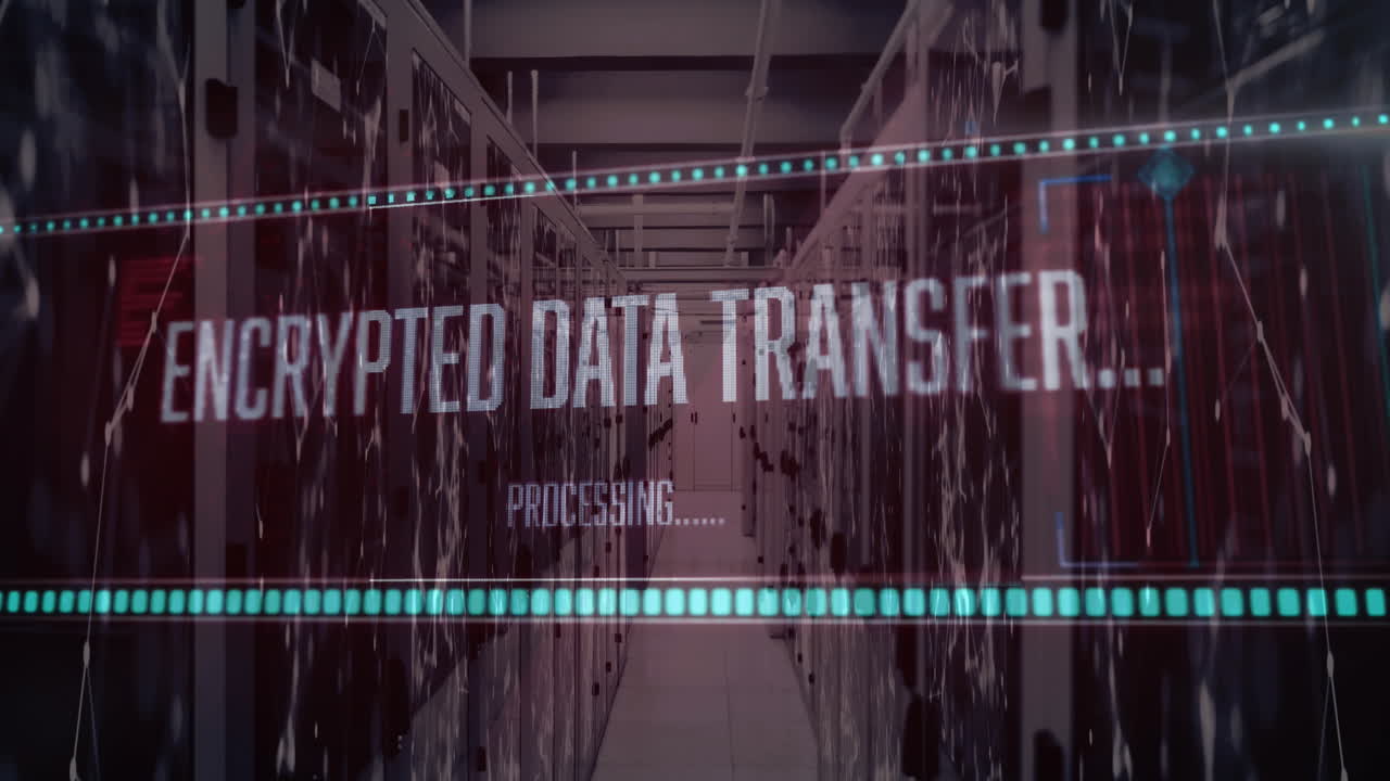 Animation of data processing over computer servers