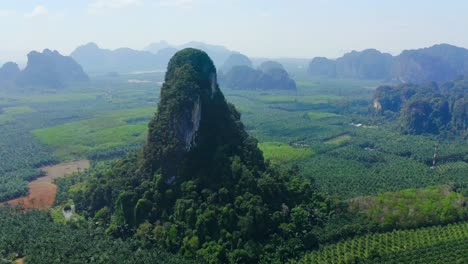 aerial view of of the limestone mountain formations in krabi thailand surrounded by palm oil plantations