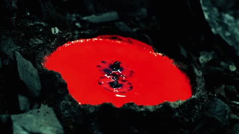 en una representación artística, vibrantes gotas líquidas desafían la gravedad mientras invierten su descenso en una masa hirviendo de sustancia volcánica roja, una fascinante fusión de creatividad y fuerzas naturales.