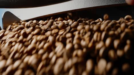 coffee beans processing